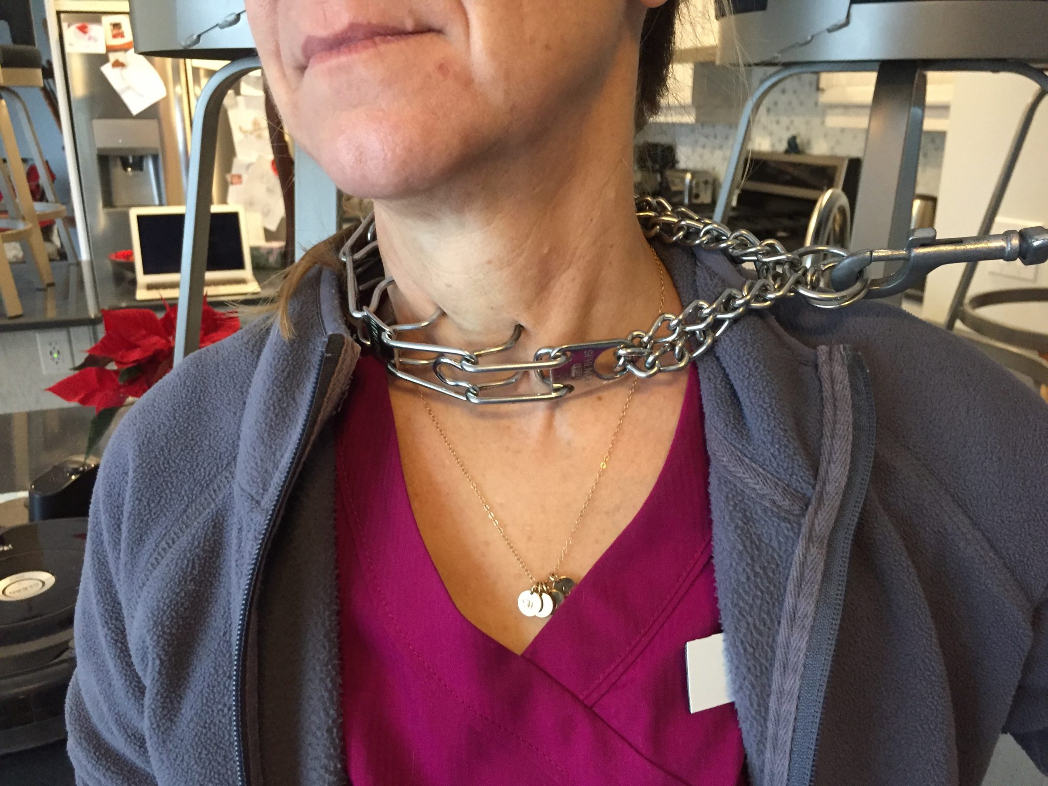 prong collars revisited! Tuckered Out Hounds