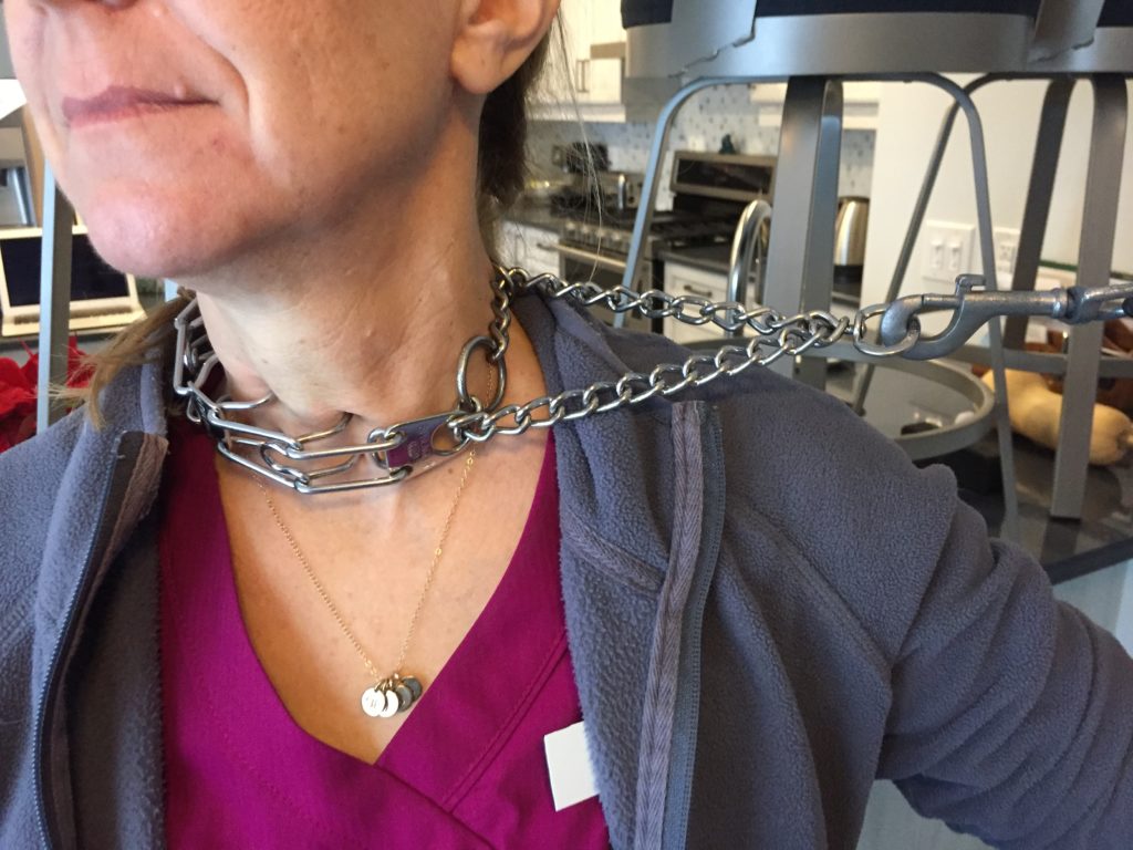 prong collars revisited! Tuckered Out Hounds